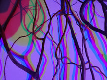 Carica l'immagine nel visualizzatore di Gallery, Scatola della luce